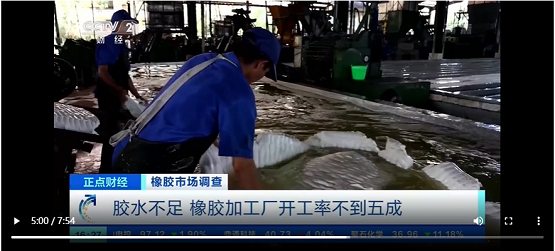 膠水不足，橡膠加工廠開工率不到五成