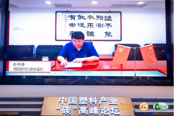 中國石油和化學工業聯合會副會長 孫偉善(視頻致辭)