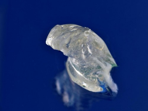在世界上首次利用發酵生產丁二烯，成功獲得的聚丁二烯橡膠