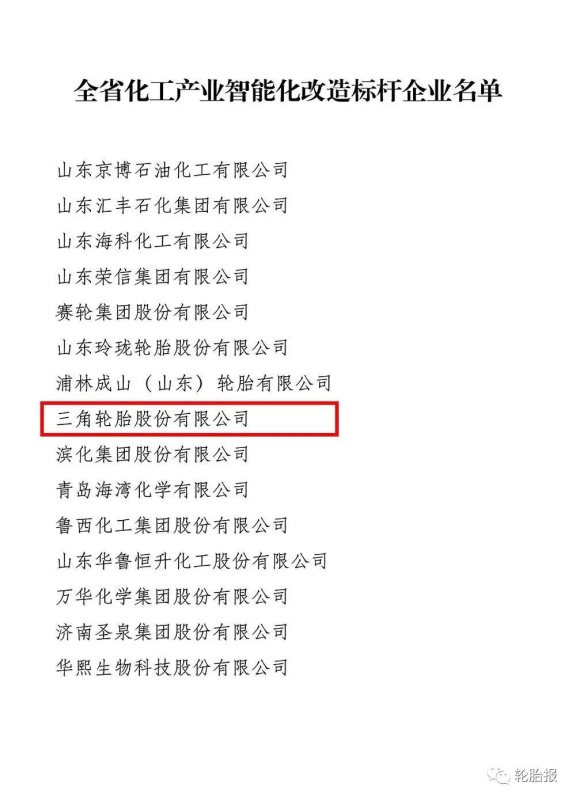 智能化標桿企業——三角輪胎