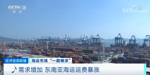 浙江寧波某國際物流有限公司總經理 陳陽 浙江寧波某國際物流有限公司總經理 陳陽