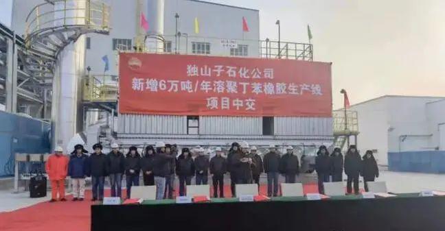 年產 6 萬噸橡膠項目,建設完成 年產 6 萬噸橡膠項目,建設完成