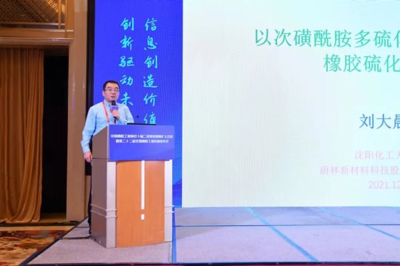沈陽化工大學材料科學與工程學院副院長、蔚林新材料科技股份有限公司特聘專家劉大晨教授