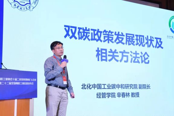 北京化工大學中國工業碳中和研究院副院長辛春林教授