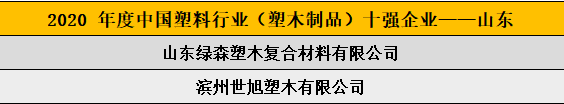 2020 年度中國塑料行業（塑木制品）十強企業——山東