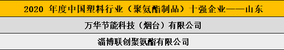 2020 年度中國塑料行業（聚氨酯制品）十強企業——山東