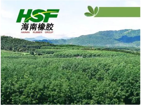 公司在不具有商業實質的情況下進行會計處理，導致多期年度報告財務信息披露不真實，違反了多項規定。