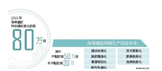 海南橡膠多舉措推進標準化膠園建設 推動天然橡膠產業提質增效