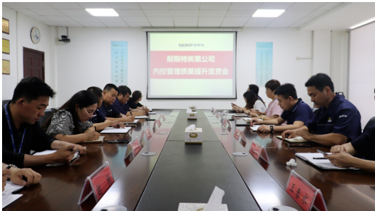 耐斯特炭黑公司組織召開公司內控管理質量提升方案宣貫會議