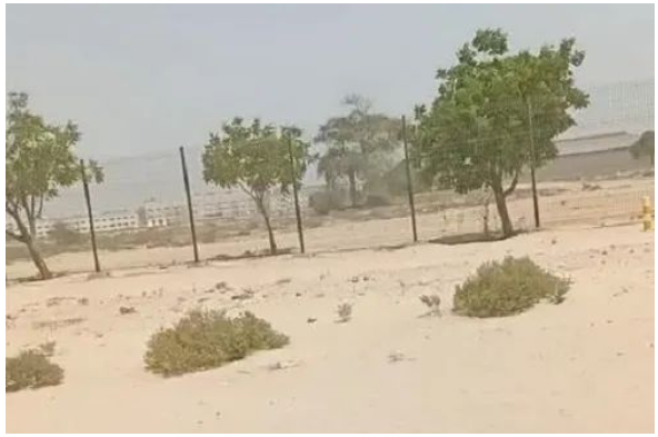 阿聯酋絕大部分地區是沙漠和洼地，起伏不平的路面會對輪胎造成一定的沖擊