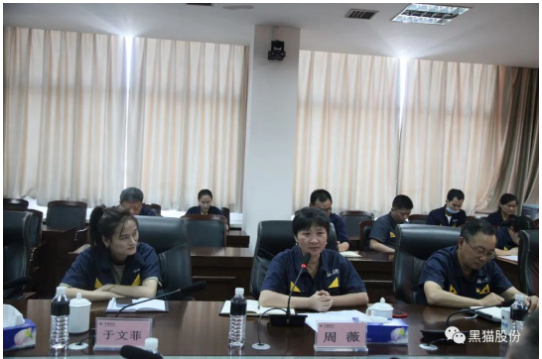 本次兩化融合管理體系貫標啟動大會的召開,標志著黑貓股份兩化融合工作開啟了新的征程 本次兩化融合管理體系貫標啟動大會的召開,標志著黑貓股份兩化融合工作開啟了新的征程