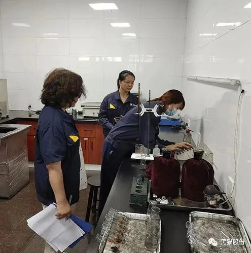 黑貓股份順利通過2022年度IATF16949:2016監(jiān)審 黑貓股份順利通過2022年度IATF16949:2016監(jiān)審