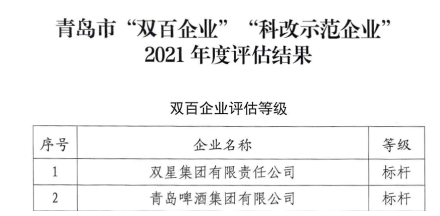 10.雙星集團,全國國企改革“雙百企業”標桿! 10.雙星集團,全國國企改革“雙百企業”標桿!