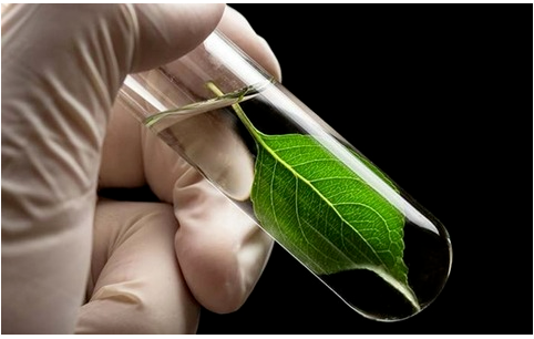 博拉表示，通過將生物基納米纖維素加入橡膠混煉膠中，提高了輪胎滾動阻力和車輛燃油經(jīng)濟性。