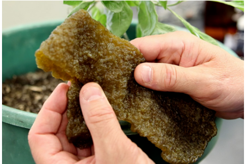 輪胎廠新項目，獲政府2.5億資助！