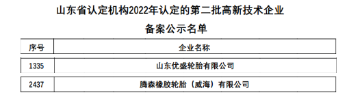 最新：六家輪胎入選高新企業！
