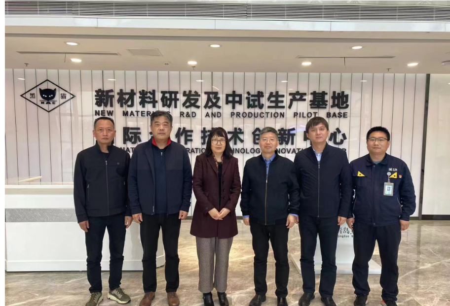 中國橡膠工業(yè)協(xié)會(huì)炭黑協(xié)會(huì)秘書長丁麗萍、中昊黑元化工研究設(shè)計(jì)院王家貴院長一行考察了青島黑貓研究院。黑貓股份黨委副書記、總經(jīng)理魏明陪同考察組一同參觀了中試車間、黑貓文化展廳、研發(fā)中心及產(chǎn)學(xué)研中心。