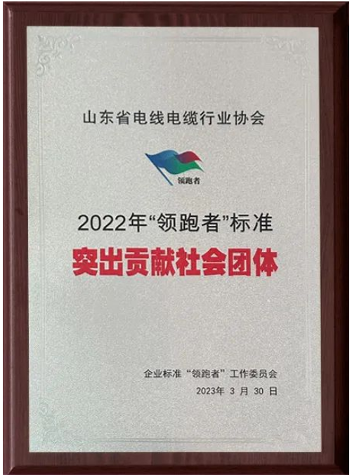會上，山東省電線電纜行業協會獲“2022年‘領跑者’標準突出貢獻社會團體”“2022年‘領跑者’榜單突出貢獻評估機構”兩項殊榮。授牌儀式隆重舉行，這也標志著山東省電線電纜行業協會在企業標準“領跑者”制度的評價工作中取得了重要成果。