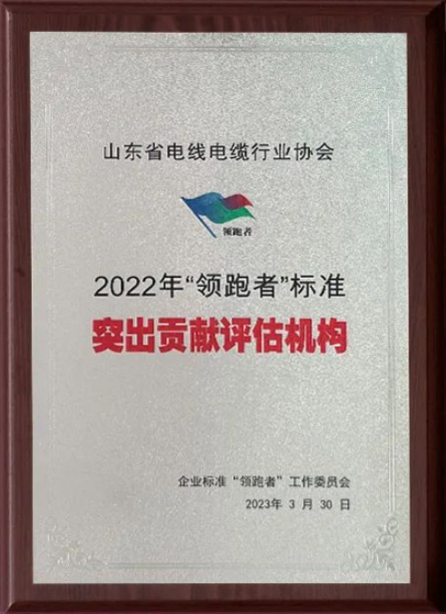 企業標準“領跑者”制度是我國的重要標準制度之一，通過高水平引領，增加中高端產品和服務有效供給，支撐高質量發展的鼓勵性政策，對深化標準化工作改革、推動經濟新舊動能轉換、供給側結構性改革和培育一批具有創新能力的排頭兵企業具有重要作用。