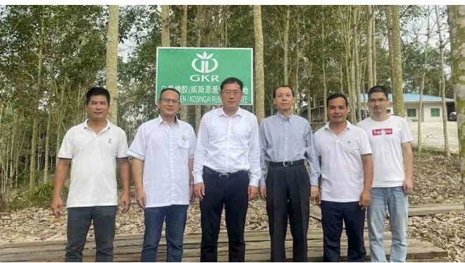 中國駐泰國宋卡總領(lǐng)事吳冬梅和中國駐馬來西亞古晉總領(lǐng)事邢偉平分別到訪廣墾橡膠泰國沙墩公司和廣墾橡膠馬來西亞砂撈越公司，考察了這兩家公司的生產(chǎn)情況和膠園管理情況，并聽取了企業(yè)經(jīng)營管理及黨建工作的匯報。