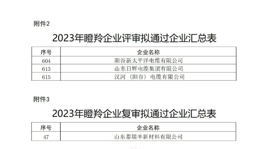 山東省工業和信息化廳在本次認定工作中嚴格按照相關文件規定的程序和標準進行評選，充分尊重市場主體自愿申報的原則，注重專家評審和第三方信用評級的公正性與權威性，確保了認定結果的準確性和公信力。