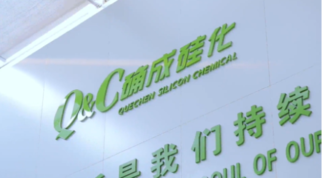 確成硅化學(xué)股份有限公司自成立至今，專注于沉淀法二氧化硅產(chǎn)品的研發(fā)、制造和銷售，經(jīng)過20年的發(fā)展，已經(jīng)成為全球主要的二氧化硅產(chǎn)品專業(yè)制造商之一。確成股份擁有從原材料硫酸、硅酸鈉到最終產(chǎn)品二氧化硅的制造產(chǎn)業(yè)鏈，產(chǎn)品主要市場聚焦在橡膠工業(yè)領(lǐng)域的高性能子午線綠色輪胎配套專用材料以及動物營養(yǎng)品領(lǐng)域的動物飼料載體用二氧化硅。此外，確成股份在國內(nèi)外擁有多個生產(chǎn)基地，總產(chǎn)能位列世界第三位，主要客戶包括國際知名輪胎和動物營養(yǎng)品公司。