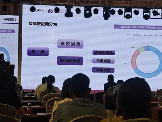 此外，在會議中，各位行業領袖也紛紛發表了對炭黑行業的經濟運行情況和未來發展趨勢的觀點。據了解，這些觀點涵蓋了輪胎橡膠行業、炭黑行業、煤焦油市場、特種炭黑市場等多個方面，為與會者提供了深入洞察和行業前景的啟示。