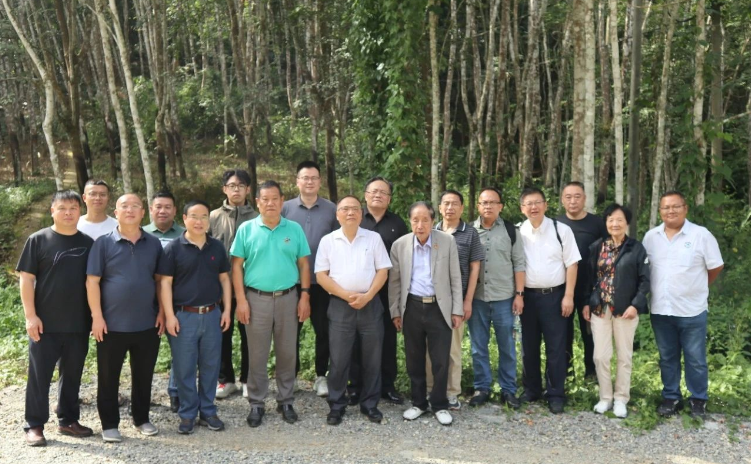 通過(guò)這次活動(dòng)，與會(huì)單位收獲頗豐。首先是增強(qiáng)了大家的自信并認(rèn)清了合作的重要性。而后項(xiàng)目完成推廣，對(duì)實(shí)現(xiàn)年減少二氧化碳排放量約219萬(wàn)噸、國(guó)家碳中和戰(zhàn)略具有重大作用。最后也希望得到國(guó)家相關(guān)部門(mén)的關(guān)注和支持。