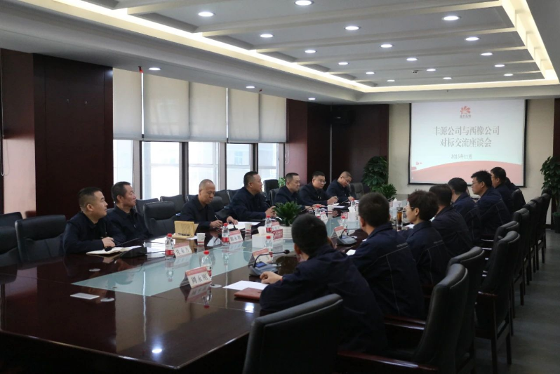 輪胎行業 橡膠行業 輪胎企業