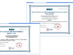 東岳硅材成為山東省首個通過ISO 56005標(biāo)準(zhǔn)認(rèn)證的企業(yè)
