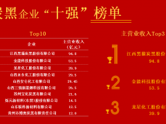 2024年十強炭黑企業，公布！