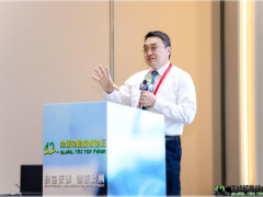 吉林大學突破非充氣輪胎設計理論，引領全球綠色輪胎革命
