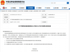 海安橡膠,主板 IPO 注冊生效!